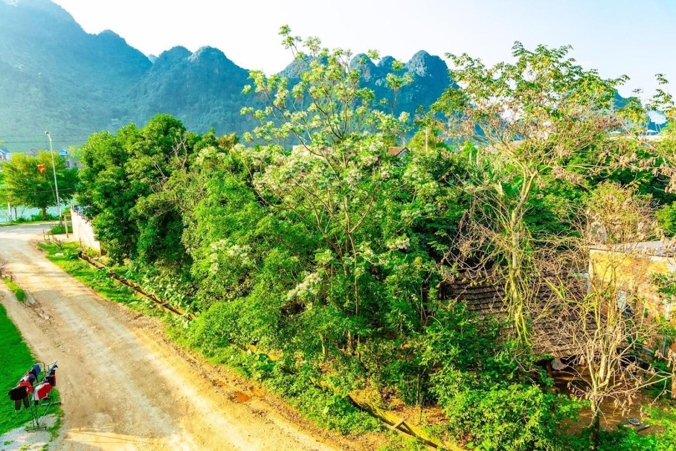 Phong Nha Cherish House Exterior photo